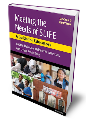 Cover of Meeting the Needs of SLIFE 2nd Edition book