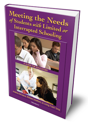 Cover of Meeting the Needs of SLIFE 1st edition book